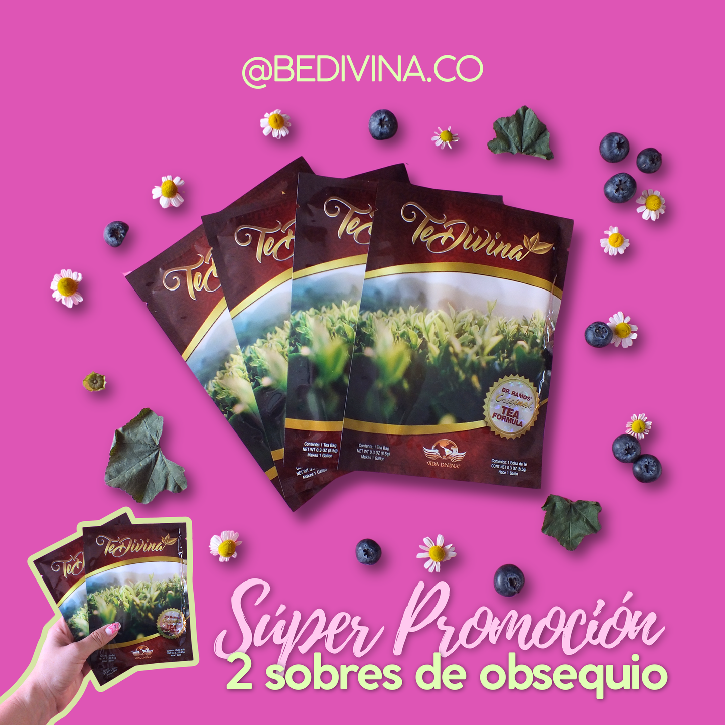 TE DIVINA